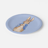 ピーター・ザ・ラビット ペーパープレート (アングル)