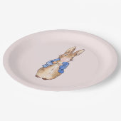 ピーター・ザ・吹ウサギのピンク色のバブルガムのパプ ペーパープレート (アングル)