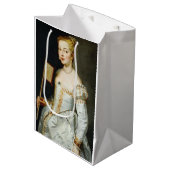 ピーター・ポール・ルーベンスポートレート・オブ・ア・レディ ミディアムペーパーバッグ (正面アングル)