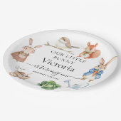 ピーター・ラビットアニマルズガーデンツール誕生日パーティー ペーパープレート (アングル)