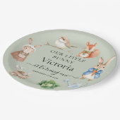 ピーター・ラビットアニマルズガーデンツール誕生日パーティー ペーパープレート (アングル)