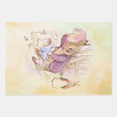 ピーター・ラビットセット ラッピングペーパーシート (正面2)