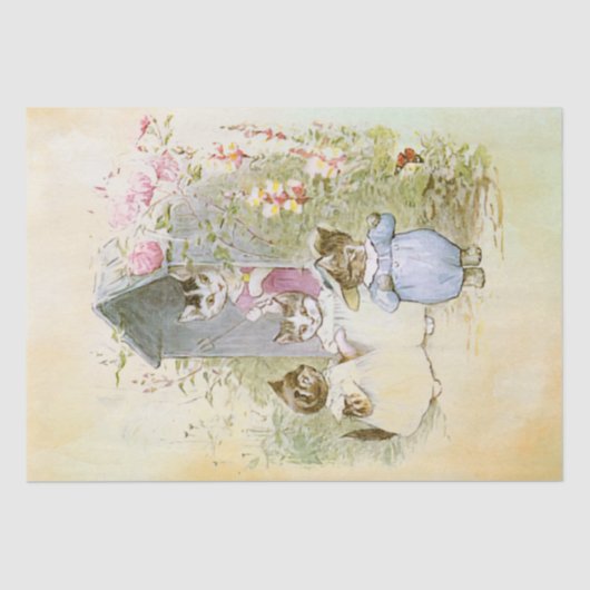 ピーター・ラビット（ネコ）ティッシュペーパー 薄葉紙 (正面)