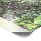 ピーター・ラビット フォトプリント            (角)