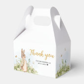 ピーター・ラビット・ベイビー・シャワー フェイバーボックス (裏面サイド)