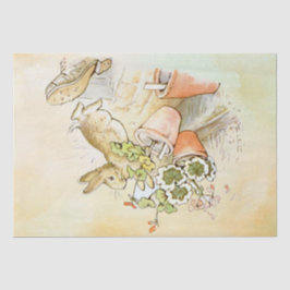 ピーター・ラビット（靴）ティッシュペーパー 薄葉紙