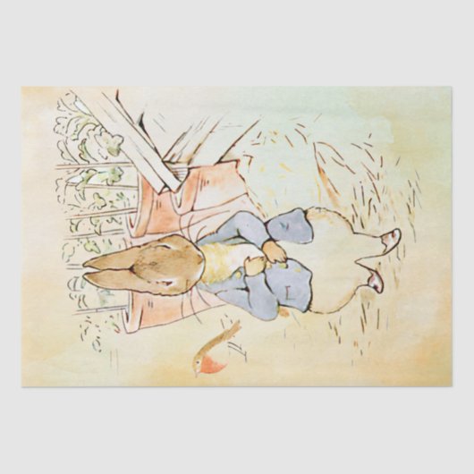 ピーター・ラビット（鳥）ティッシュペーパー 薄葉紙 (正面)