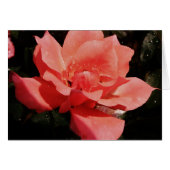 ピーチかわいらしピンクローズフローラ (正面横)