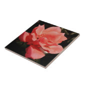 ピーチかわいらしピンクローズフローラ タイル (側面)