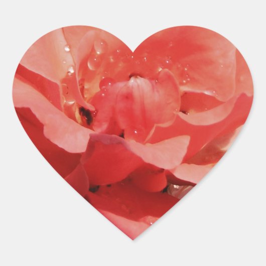 ピーチかわいらしピンクローズフローラ ハートシール (正面)