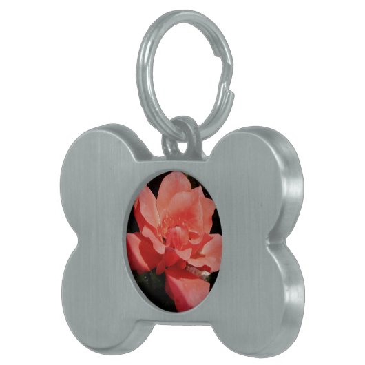 ピーチかわいらしピンクローズフローラ ペットネームタグ (正面右)