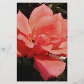 ピーチかわいらしピンクローズフローラ 便箋 (正面)