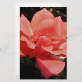 ピーチかわいらしピンクローズフローラ 便箋 (正面/裏面)