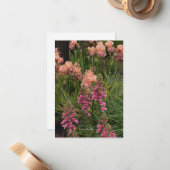 ピーチアイリス、ピンクフォックスグローブ ノートカード (正面/裏面インサイチュ)