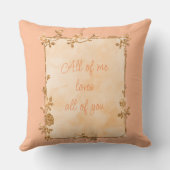 ピーチエレガントファズスパークルフレームバレンタイン クッション (裏面)