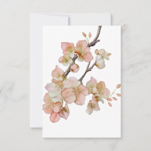 ピーチエレガントーのピンクの水色のフローラ結婚は 招待状 (裏面)