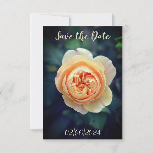 ピーチオレンジのガーデンローズの花 Save the Date セーブザデート (正面)