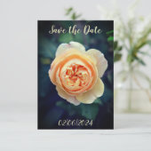 ピーチオレンジのガーデンローズの花 Save the Date セーブザデート (スタンド正面)