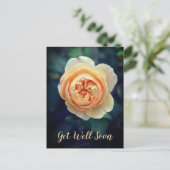 ピーチオレンジガーデンバラフラワーゲーブルー シーズンポストカード (スタンド正面)