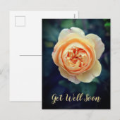 ピーチオレンジガーデンバラフラワーゲーブルー シーズンポストカード (正面/裏面)