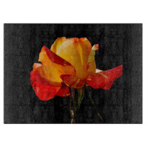 ピーチオレンジバラ