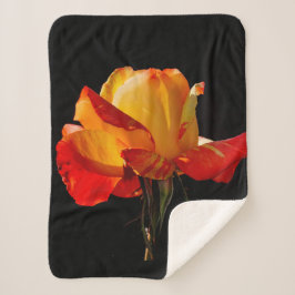ピーチオレンジバラ シェルパブランケット