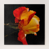 ピーチオレンジバラ ジグソーパズル (横)