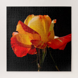 ピーチオレンジバラ ジグソーパズル