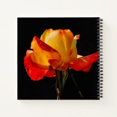 ピーチオレンジバラ ノートブック (裏面)