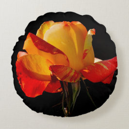 ピーチオレンジバラ ラウンドクッション