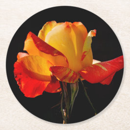 ピーチオレンジバラ ラウンドペーパーコースター