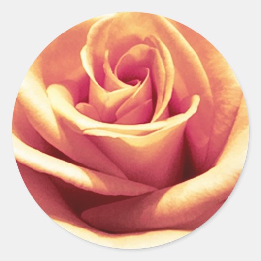 ピーチオレンジ封筒用シールシール ラウンドシール (正面)