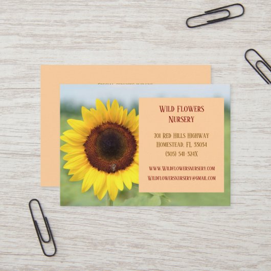 ピーチガーデナーランドシャープヒマワリ 名刺 (正面/裏面インサイチュ)
