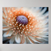 ピーチダリアポスター ポスター (正面)