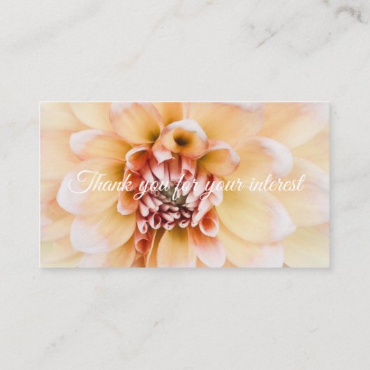 ピーチダリア名刺 名刺 (裏面)