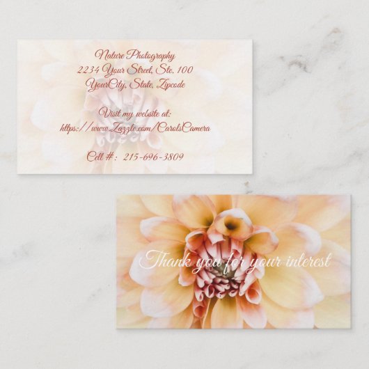 ピーチダリア名刺 名刺 (正面/裏面)