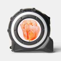 ピーチチューリップ