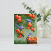 ピーチツリーオーチャードのブルーバード ポストカード (スタンド正面)