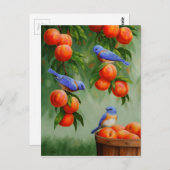 ピーチツリーオーチャードのブルーバード ポストカード (正面/裏面)