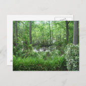 ピーチツリーシティ, GA ポストカード (正面/裏面)