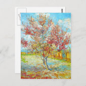ピーチツリー開花アットアルレスヴァンゴッホ ポストカード (正面/裏面)