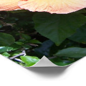 ピーチハイビスカスプリント ポスター (角)