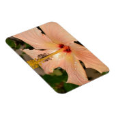 ピーチハイビスカス花 マグネット (右側)