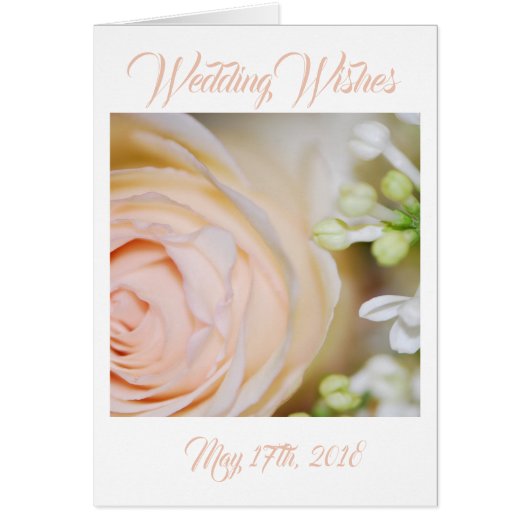 ピーチバラとライラック (正面)