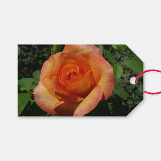 ピーチバラオレンジ花の写真 ギフトタグ (正面(横))