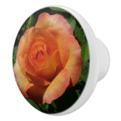 ピーチバラオレンジ花の写真 セラミックノブ (右)