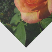 ピーチバラオレンジ花の写真 薄葉紙 (詳細)