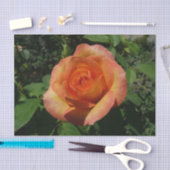 ピーチバラオレンジ花の写真 薄葉紙 (クラフト)