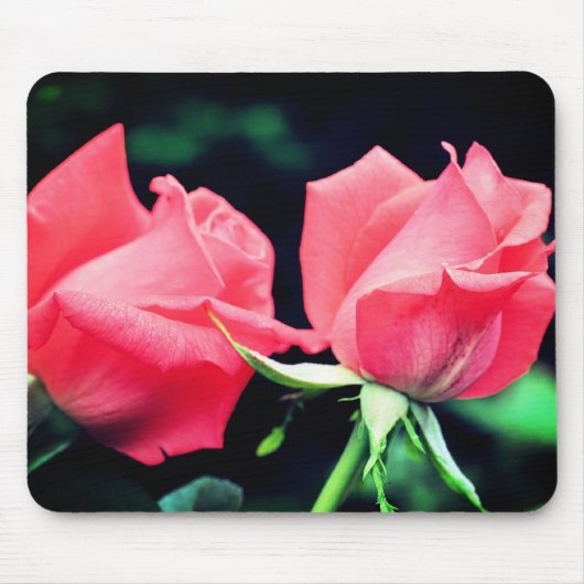 ピーチバラデュオフラワー マウスパッド (正面)