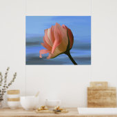 ピーチバラプリント ポスター (キッチン)